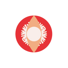 I-Contact Cosplay Halloween Contact Lenses Red Snake