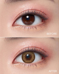 OLENS 1 Day Honey Shine Brown (10 Pack)