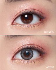 OLENS 1 Day Honey Shine Gray (10 Pack)