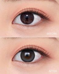 OLENS Big Glowy 1-Day Gray (10 Pack)