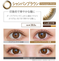 EverColor 1 Day 1 Day Color Contact lenses Natural Champagne Brown (20 Pack)