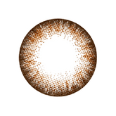 NEO Extra Dali Toric Brown Colored Contact Lenses 6 months disposable (1 Lens)