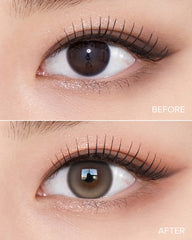 OLENS 1-Day Muse Shine Brown (10 Pack)