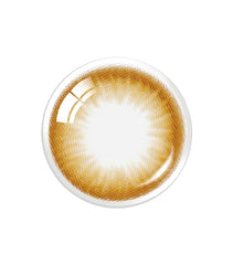 OLENS Polla Brown 6 months disposable Contact Lenses (1 Lens)