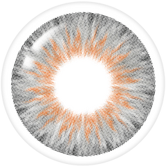 Lenstown Aquafit Gray Monthly (2 Pack)