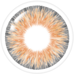 Lenstown Aquafit Brown Monthly (2 Pack)