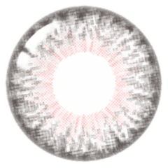 Lenstown 247 Fit 1-Day Gray (10 Pack)