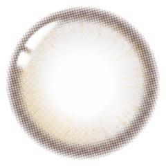 Lenstown 1-Day 247BB Oat Gray (10 Pack)