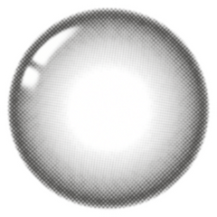 Lenstown 1-Day 247 Bom Gray (10 Pack)