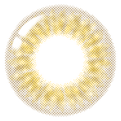 Lenstown 1-Day Lighly Pure Brown (20 Pack)