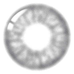 Lenstown ItsWater 1-Day Gray (10 Pack)