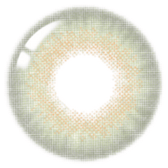 Lenstown Romantea London 1-Day Olive Green (10 Pack)