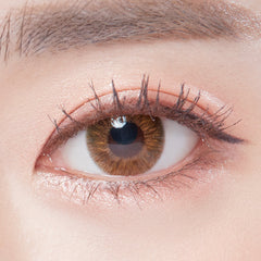 Lenstown Aquafit Brown Monthly (2 Pack)