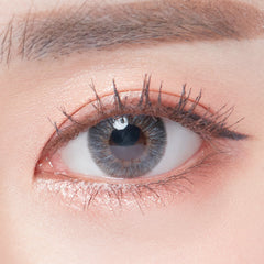 Lenstown Aquafit Gray Monthly (2 Pack)