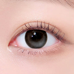 Lenstown Odd I's M two tone Gray Monthly (1 Pack)