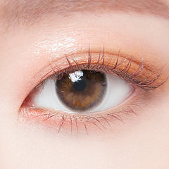 Lenstown 247 With Me 1-Day Brown (10 Pack)