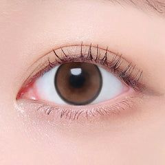 Lenstown Beloved Water Brown Monthly (2 Pack)