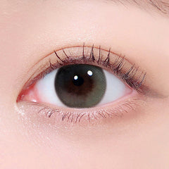 Lenstown Daisy Dream Olive Monthly (2 Pack)