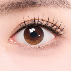 Lenstown Joy Brown Beige Brown Monthly Colored Contacts (2 Pack)