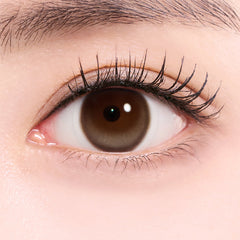 Lenstown 247 It's Water Bomb Water Brown Daily Disposable (10 Pack)