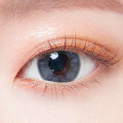 Lenstown ItsWater 1-Day Gray (10 Pack)