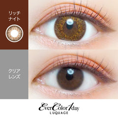 EverColor 1 Day LUQUAGE Rich Night Brown Japanese color lenses