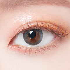 Lenstown 1-Day Lighly Modern Gray (20 Pack)