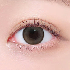 Lenstown 1-Day 247BB Oat Gray (10 Pack)