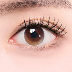 Lenstown Joy Brown Sand Brown Monthly Colored Contacts (2 Pack)