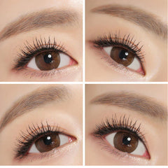 NEO Extra Dali Brown Colored Contact Lenses 6 months disposable (1 Pack)